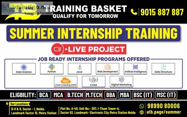 Best summer training institute in noida