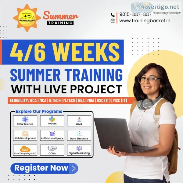 Best summer training institute in noida