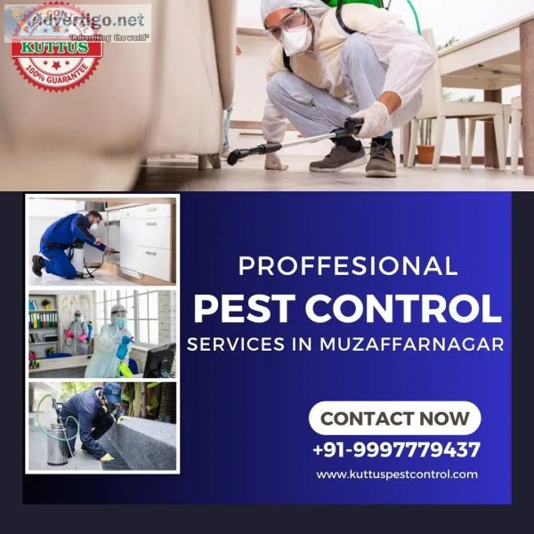 Pest control service in muzaffarnagar
