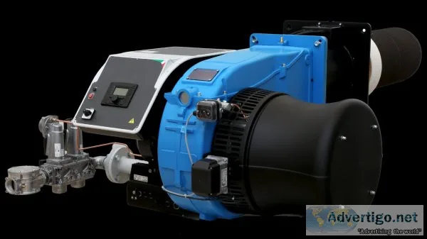 Dual fuel burner