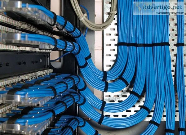 Structured cabling solutions at best price in surat