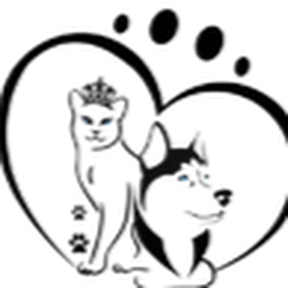 Cats and kittens For Sale Online in Chandigarh,India