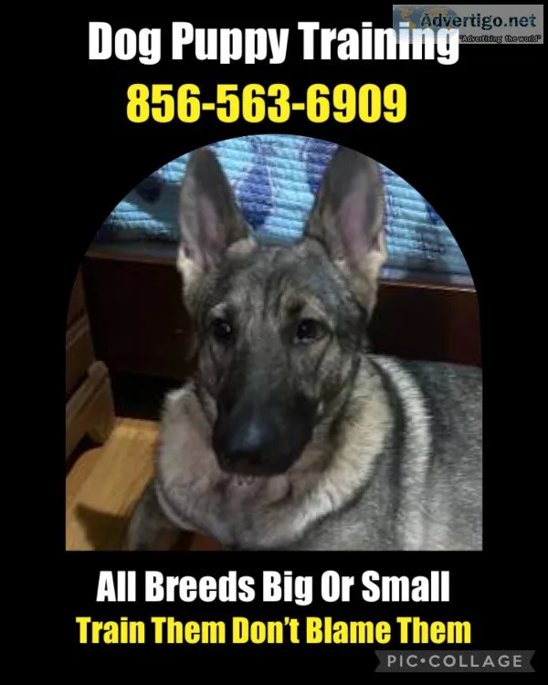 Ur k9 responding to you