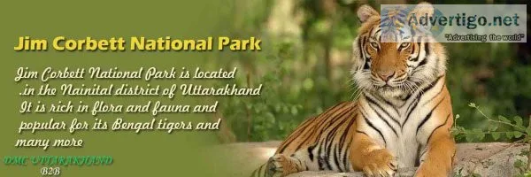 Dmc uttarakhand best b2b travel agents