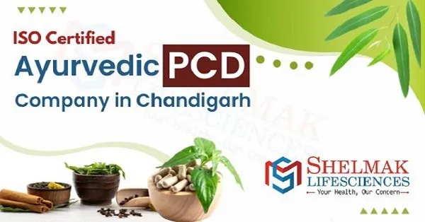 Top ayurvedic pcd company in chandigarh