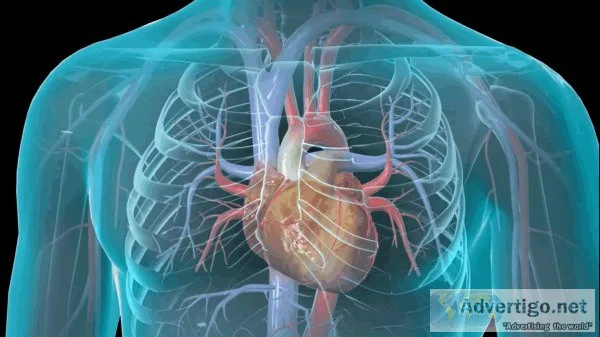 Best cardiologist doctor in chennai