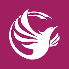 Phoenix virtual solutions