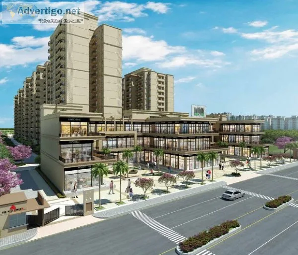 Affoprdable shops for sale in signature global signum 37d