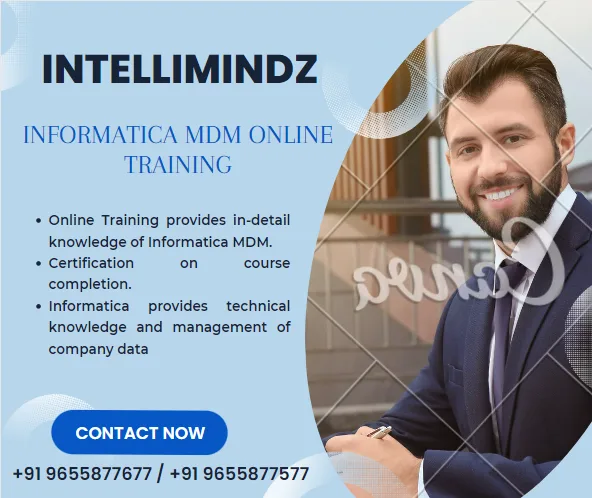 Informatica mdm online training