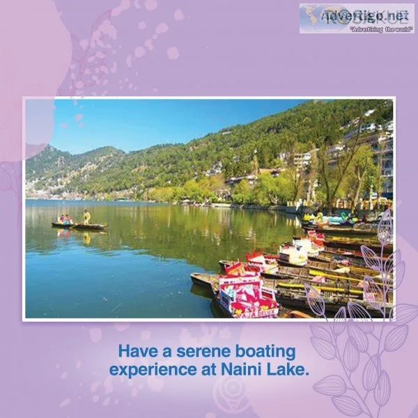 Homestay in nainital | rosakue