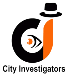 Ghaziabad s top detective agency: unraveling mysteries with prof