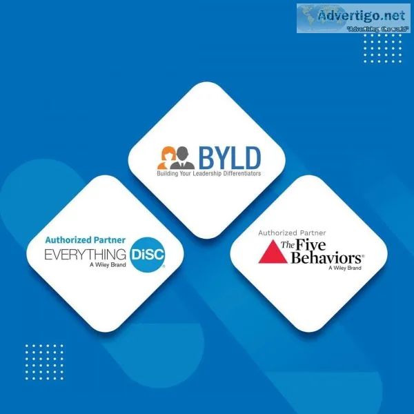 Everything disc | personal development learning | byld group