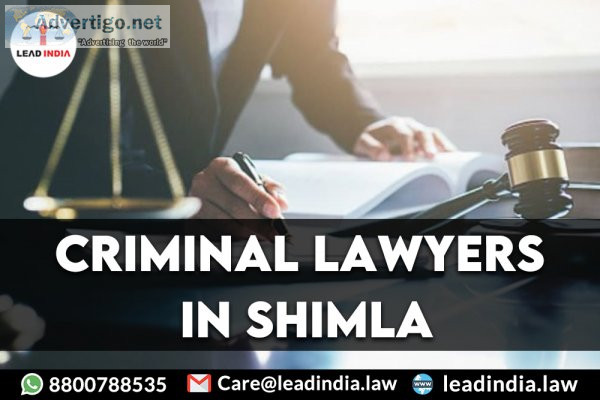 Best shimla criminal lawyers 8800788535
