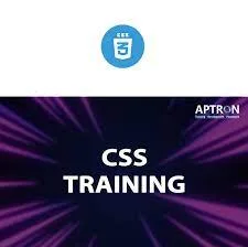 Css course in delhi
