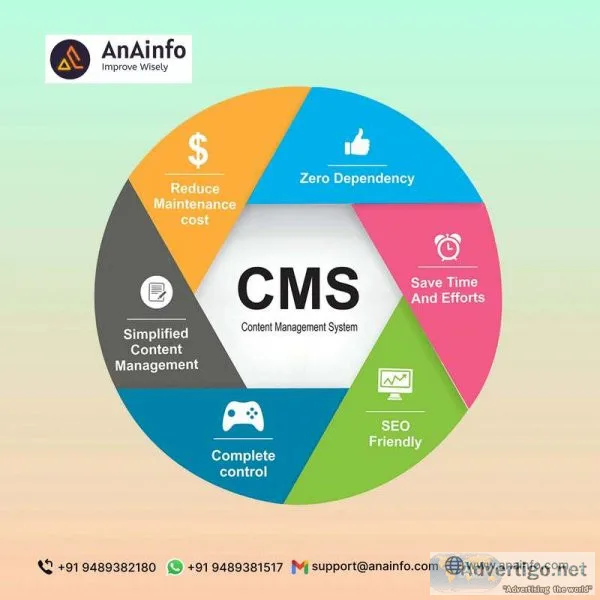 Leading web development service provider - ana info