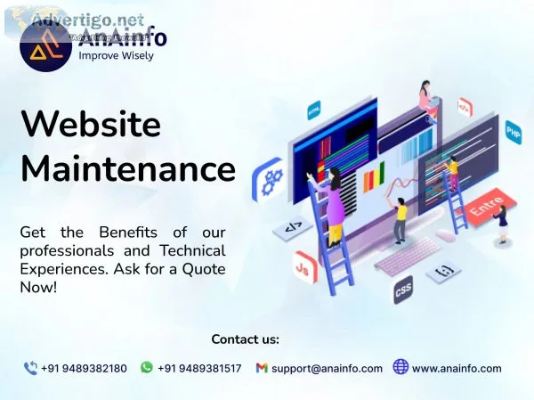 Leading web development service provider - ana info
