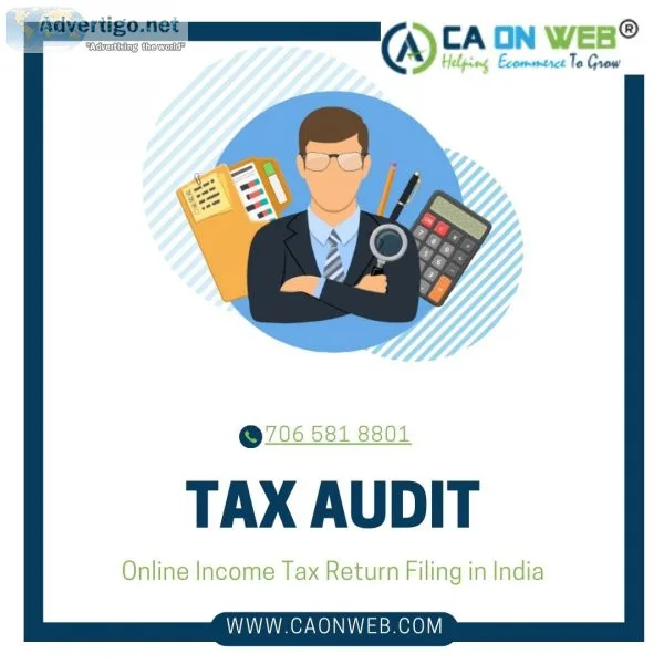 Tax audit