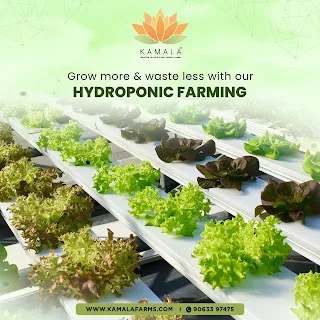 Improving efficiency and productivity in agriculture with contra
