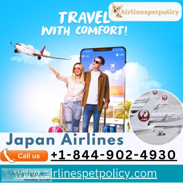 How to manage your flight with japan airlines