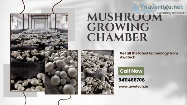 Take install mushroom growing chamber |awotech