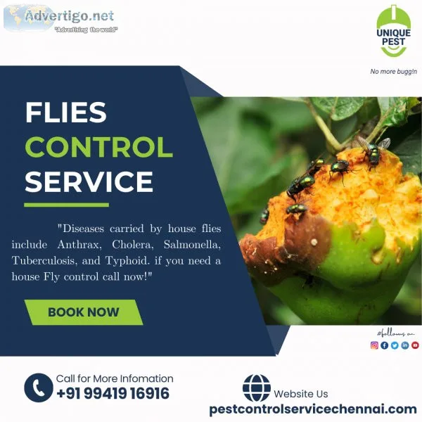 House fly control service for all types of properties