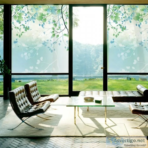 Frosted glass film in pune