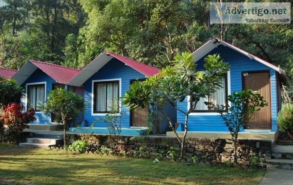 Unleash your spirit of adventure at pebbles resort - unforgettab