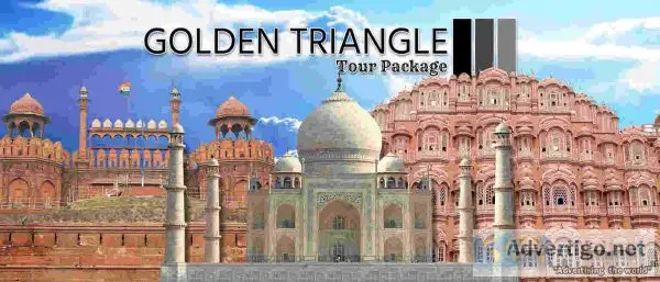 Travel agent in india