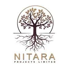 Unlock the secrets to affordable luxury: residential constructio