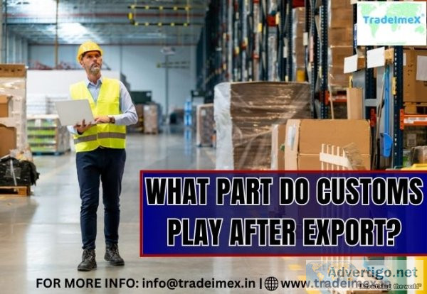 Import export data