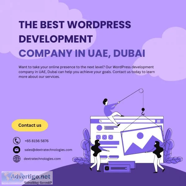 Best wordpress website company | best seo company in uae