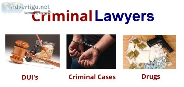 Top criminal lawyer in delhi | py and associates
