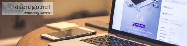 Seo company in delhi ncr
