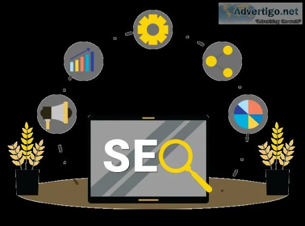 Experience top-notch seo services in delhi ncr for unrivaled suc