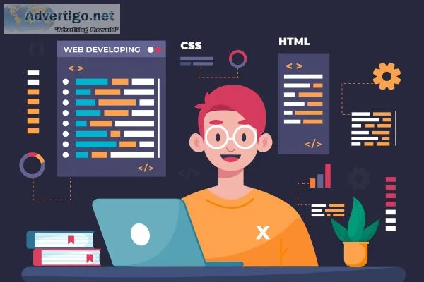 Custom web development services