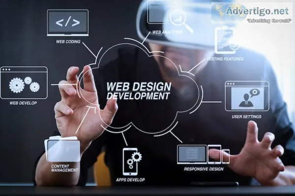 Custom web development services
