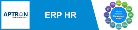 Erp sap hr training course in noida