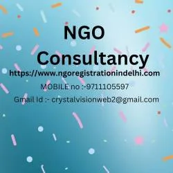 Ngo consultancy