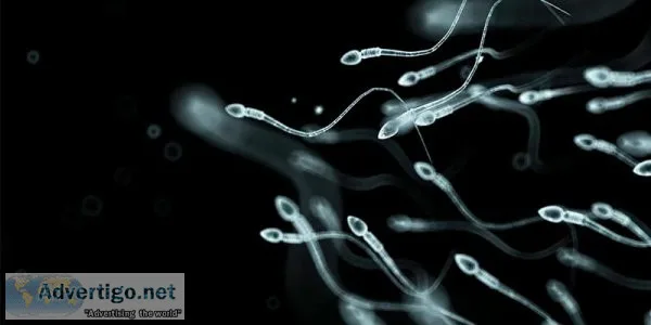 Male infertility treatment in delhi by a leading urologist