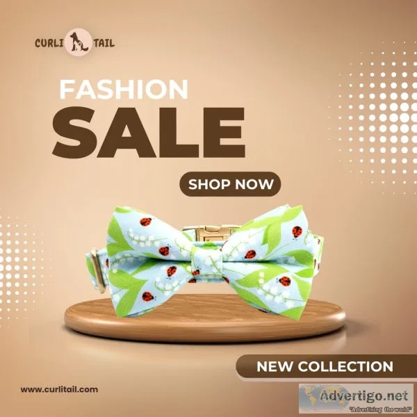 Personalized pet collars in the usa | new style dog collars