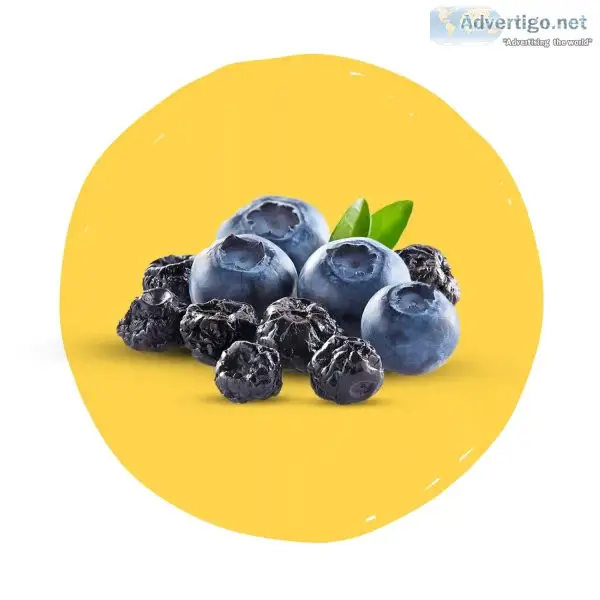 Buy dry blueberry online - delicious and nutritious snack at gol