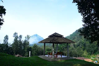 Why are homestays better while you are on a vacation
