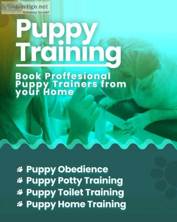 Puppy potty training in delhi