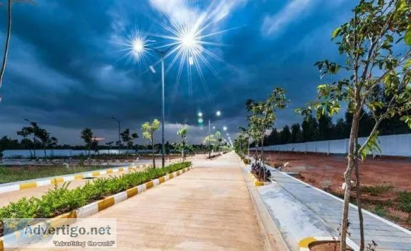 Birla trimaya