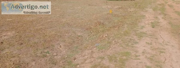 DTCP APPROVED PLOTS FOR SALE AT SEVAPPET