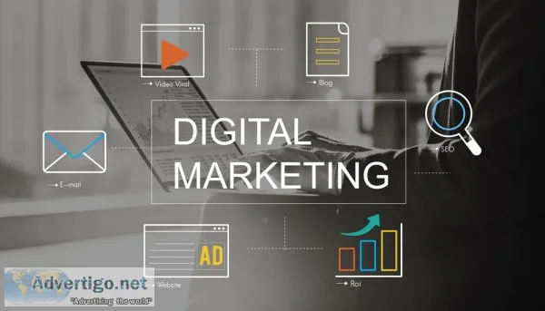 Web design services
