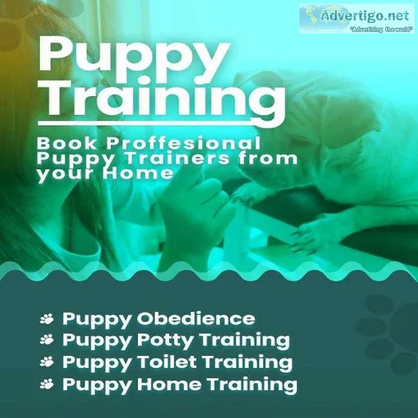 Puppy training in hyderabad