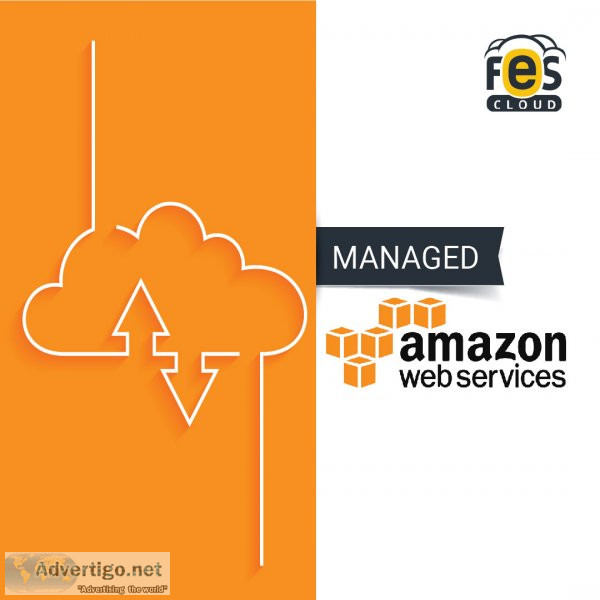 Best amazon cloud hosting services in india - fes cloud
