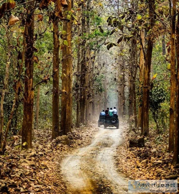 Jim corbett national park