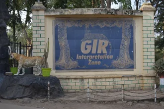Best safari booking for gir national park